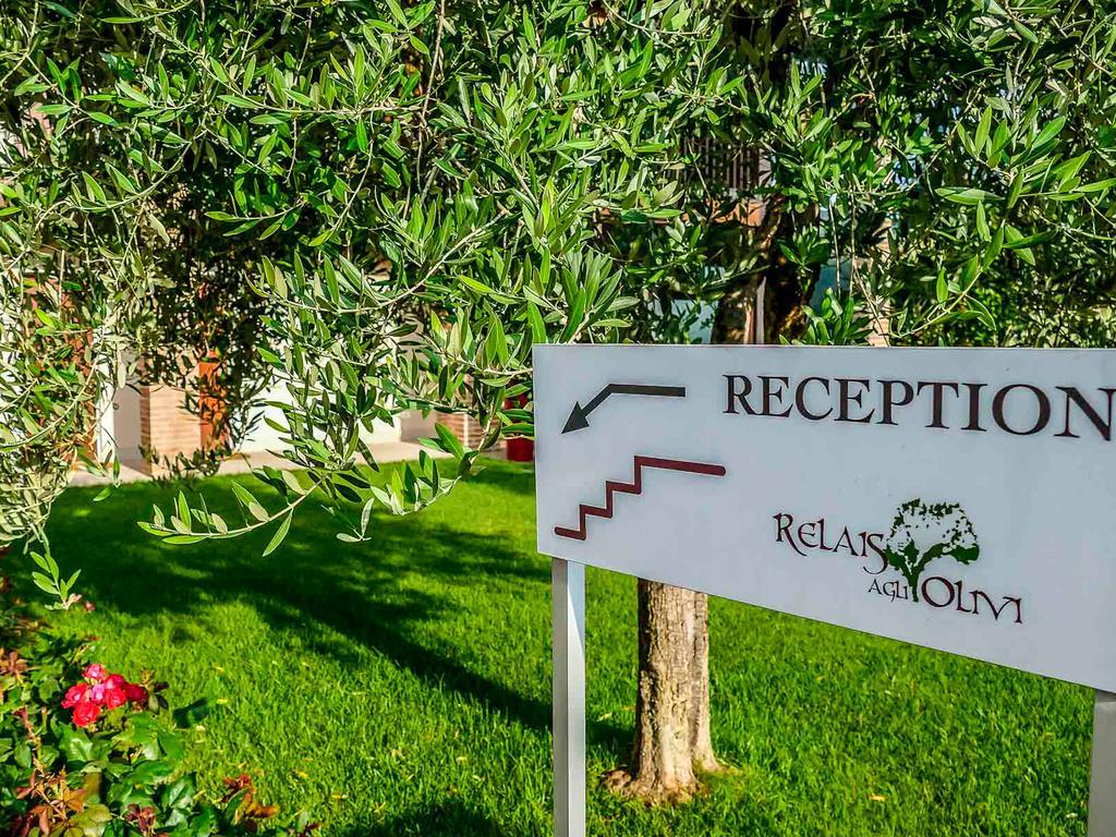 Hotel Relais Agli Olivi Lazise Extérieur photo